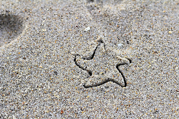 포토 JPG 해외이미지 모양 1 디자인 별 지구 모래 여행 해변 사람없음 야외 모래사장 맑음 촉촉함 점 얼룩 틈 땅 심볼 질감 5 내추럴 작살 카피스페이스 해외202004 해외포토 자연요소 바다 날씨 숫자 공백 젖음 파일형식 이미지허브