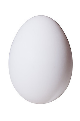 포토 JPG 해외이미지 전통 길 음식 백그라운드 자연 부활절 사람없음 계란 치킨 껍질 흰색 아침식사 자르기 날것 고립 취급주의 해외202004 해외포토 기념일 컬러 모션 경고 알 식사 생태계 닭고기요리 파일형식 이미지허브