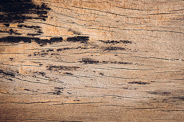 포토 JPG 해외이미지 디자인 외관 벽 가구 백그라운드 패턴 자연 벽지 탁자 표면 추상 바닥 사람없음 내부 목재 장식 빛 울타리 갈색 어둠 페인트 수확 소나무 판넬 거친 널 낟알 자르기 타일 책상 묘사 질감 복고 목공예 잡동사니 내추럴 그런지 수목 옛날 파케트 해외202004 해외포토 나무 컬러 생활용품 무늬 농업 재료 모션 담장 공예 생태계 파일형식 이미지허브