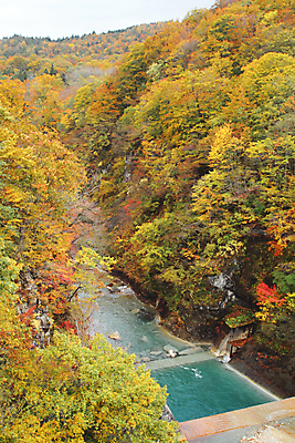 포토 JPG 해외이미지 나무 식물 계절 단풍 잎 자연 풍경 사람없음 야외 빨간색 초록색 강 노란색 일본 가을 개울 숲 해외202004 해외포토 아시아 컬러 생태계 파일형식 이미지허브