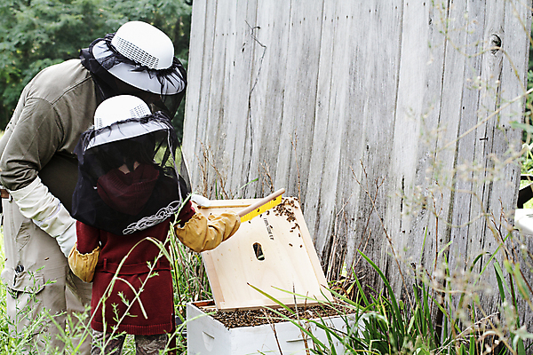 포토 JPG 해외이미지 라이프스타일 외관 옷 여자 딸 장갑 곤충 가족 자연 작업복 안전 사람 취미 야외 두명 건물 가로 환경 시골 오픈 그물 가르침 행운 아빠 보호 환경보전 꿀 벌집 식민지 양봉장 많음 해외202004 해외포토 동물 건축물 잡화 교육 컨셉 관계 생활 사회이슈 생태계 파일형식 이미지허브