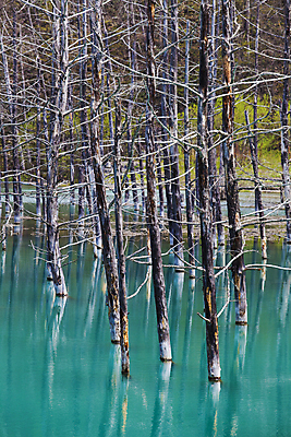 포토 JPG 해외이미지 호수 자연 서기 풍경 사람없음 물 파란색 일본 봄 죽음 연못 뜨거움 숲 홋카이도 청록색 해외202004 해외포토 자연요소 계절 아시아 컬러 모션 생태계 파일형식 이미지허브