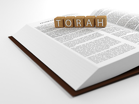 포토 JPG 해외이미지 캐릭터 기독교 종교 종이 백그라운드 컨셉 일러스트 텍스트 추상 새로움 창조 미술 사람없음 목재 책 단어 스터디 성경 수확 골동품 죽음 오픈 10 편지 주사위 흰배경 증거 페이지 신성 천국 유대인 고립 대본 복음 신앙심 양피지 옛날 유태교 이스라엘 해외202004 해외포토 나무 문자 무늬 농업 재료 종교용품 문화예술 학습 숫자 흰색 서아시아 파일형식 이미지허브