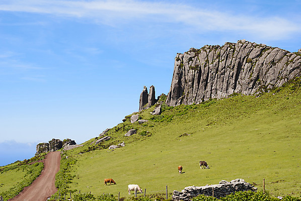 포토 JPG 해외이미지 동물 도로 음식 섬 밭 포유류 자연 하늘 건강 풍경 사람없음 야외 가로 여름 농장 시골 소 군중 방목 암초 목가 부족함 해외202004 해외포토 계절 길 컨셉 농업 교통시설 사람 축산업 생태계 파일형식 이미지허브
