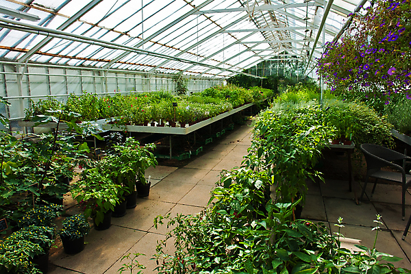 포토 JPG 해외이미지 식물 꽃 산업 문화 잎 꽃무늬 농업 비즈니스 침구 자연 유리 실내 사람없음 내부 초록색 농장 정원 놀이방 성장 벚꽃 신선 개화 원예 상업 내추럴 광합성 모종 밭일 온실 그리너리 해외202004 해외포토 컬러 무늬 재질 취미 생태계 파일형식 트랜드컬러 이미지허브