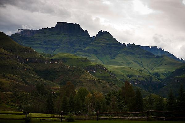 포토 JPG 해외이미지 나무 식물 날씨 산 풍경 사람없음 소나무 남아프리카 해외202004 해외포토 아프리카 파일형식 이미지허브