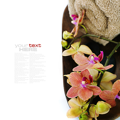 포토 JPG 해외이미지 꽃 사람없음 수건 스파 스파용품 카피스페이스 해외포토 식물 위생용품 공백 오브젝트 파일형식 이미지허브