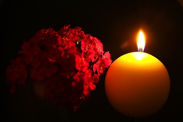 포토 JPG 해외이미지 식물 디자인 꽃잎 꽃 종교 분홍색 백그라운드 크리스마스 꽃무늬 자연 불 추상 휴가 휴식 국화 사랑 사람없음 장식 초록색 빛 노란색 교회 정원 검은색 스파 어둠 희망 벚꽃 축하 신선 뜨거움 야간 명상 보케 신성 기념물 내추럴 광 왁스 화상 해외202004 해외포토 자연요소 기념일 감정 컬러 컨셉 무늬 종교건축 건물 상처 생태계 파일형식 이미지허브