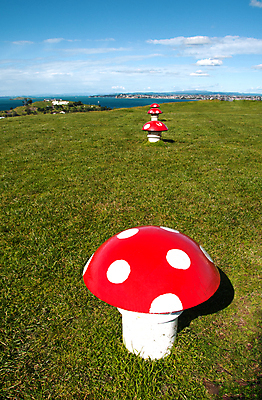 포토 JPG 해외이미지 구름 공원 섬 여행 자연 하늘 산 풍경 사람없음 야외 빨간색 초록색 물 파란색 관광지 흰색 만 뉴질랜드 태평양 폴리네시아 교외 해외202004 해외포토 자연요소 공공시설 바다 컬러 오세아니아 생태계 파일형식 이미지허브