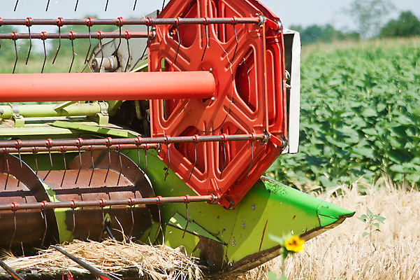 포토 JPG 해외이미지 직업 산업 음식 줄기 밭 농업 옥수수 씨앗 풍경 사람없음 여름 농작물 농장 농경지 기계 장비 수확 가을 시골 업무 결합 낟알 땅 시리얼 밀 장면 트랙터 밀짚 밭일 숙성 호밀 해외202004 해외포토 식물 계절 곡류 작업 짚 농기계 특수차량 파일형식 이미지허브