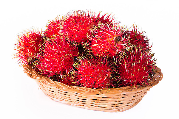 포토 JPG 해외이미지 식물 계절 아시아 음식 백그라운드 농업 다이어트 과일 재료 태국 자연 디저트 쟁반 건강 씨앗 동양인 사람없음 빨간색 컬러풀 수확 껍질 흰색 신선 달콤 맛 먹기 대나무 유기농 날것 내추럴 고립 숙성 이국적 해외202004 해외포토 나무 웰빙 나라 산업 컬러 컨셉 모션 인종 생태계 파일형식 이미지허브