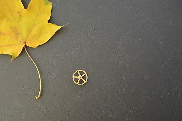 포토 JPG 해외이미지 시계 백그라운드 비즈니스 실내 사람없음 금속 기계 장비 수확 골동품 시간 업무 손목시계 묘사 복고 정비공 기어 옛날 철강 해외202004 해외포토 농업 장신구 재질 내부 작업 기술자 파일형식 이미지허브