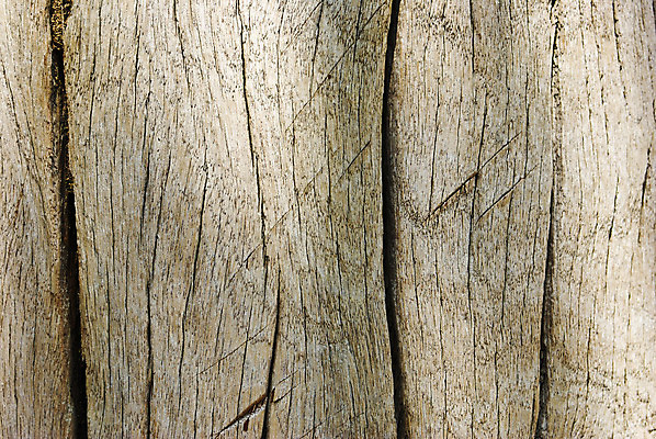 포토 JPG 해외이미지 나무 벽 백그라운드 패턴 주택 프레임 외벽 사람없음 야외 내부 목재 울타리 갈색 수확 소나무 판넬 거친 숲 질감 목공예 시들음 잡동사니 외양간 그런지 수목 옛날 해외202004 해외포토 식물 컬러 무늬 농업 재료 건물 담장 공예 파일형식 이미지허브