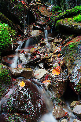 포토 JPG 해외이미지 나무 식물 공원 모션 자연 휴식 산 이끼 풍경 사람없음 야외 목재 초록색 물 여름 강 평화 환경 봄 활발 폭포 젖음 촉촉함 흐름 바위 신선 개울 떨어짐 숲 시원함 순수 내추럴 우크라이나 그리너리 해외202004 해외포토 자연요소 계절 공공시설 유럽 컬러 컨셉 재료 돌_바위 생태계 파일형식 트랜드컬러 이미지허브