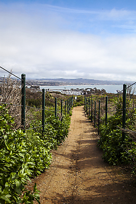 포토 JPG 해외이미지 구름 공원 길 바다 여행 자국 자연 하늘 사람없음 물 항구 미국 하이킹 보트 황무지 캘리포니아 해외202004 해외포토 자연요소 공공시설 북아메리카 배_교통 교통시설 레저 생태계 파일형식 이미지허브