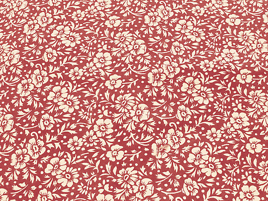 포토 JPG 해외이미지 꽃 백그라운드 패턴 벽지 추상 사람없음 유행 수확 직물 면 닫기 묘사 질감 부드러움 해외202004 해외포토 식물 무늬 농업 모션 감각 파일형식 이미지허브