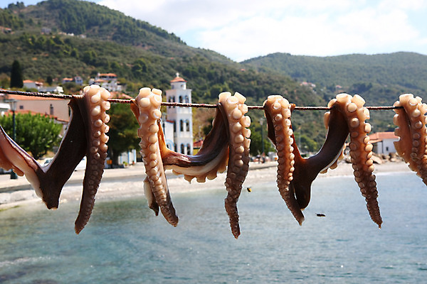 포토 JPG 해외이미지 접시 음식 바다 낚시 휴가 건조 사람없음 요식업 지중해 먹기 해산물 그리스 문어 해외202004 해외포토 식기 유럽 산업 모션 레저 연체동물 수중동물 파일형식 이미지허브