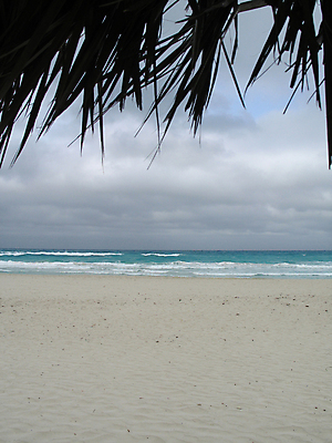 포토 JPG 해외이미지 주간 나무 구름 선 모래 파도 여행 잎 우산 자연 조류 하늘 휴가 휴식 손바닥 사람없음 세로 물 파란색 평화 침묵 소리 젖음 신선 유기농 쿠바 남쪽 단절 터키석 파라다이스 수평선 해외202004 해외포토 자연요소 식물 동물 손 웰빙 바다 컬러 컨셉 중앙아메리카 보석 방향 생태계 파일형식 이미지허브