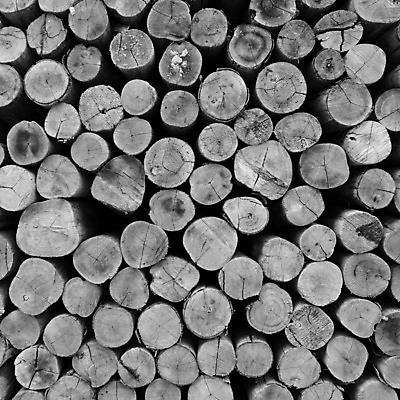 포토 JPG 해외이미지 공원 백그라운드 패턴 추상 바닥 사람없음 야외 목재 정원 닫기 질감 해외202004 해외포토 나무 공공시설 무늬 재료 모션 파일형식 이미지허브