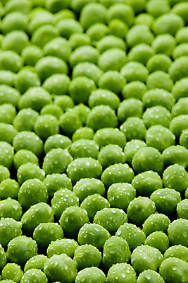 포토 JPG 해외이미지 식물 음식 백그라운드 채소 표면 실내 건강 사람없음 내부 초록색 인테리어 젖음 물방울 닫기 떨어짐 묘사 완두콩 영양 건강식 꼬투리 영양분 정물화 채식주의자 많음 해외202004 해외포토 디자인 컬러 컨셉 모션 콩 그림 채식 파일형식 이미지허브