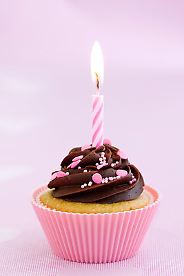 포토 JPG 해외이미지 스튜디오촬영 1 음식 분홍색 디저트 사람없음 장식 세로 한개 케이크 초콜릿 얼음 축하 생일 달콤 컵케이크 굽기 뿌리기 문학 미니 반투명 카피스페이스 프로스팅 해외202004 스펀지케이크 해외포토 자연요소 기념일 컬러 컨셉 모션 실내 공백 맛 구이 제빵 파일형식 이미지허브