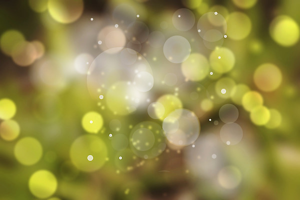 포토 JPG 해외이미지 나무 식물 디자인 계절 공원 꽃 컨셉 잎 패턴 밭 자연 벽지 추상 종류 미술 풍경 사람없음 야외 아웃포커스 장식 초록색 여름 빛 컬러풀 햇빛 태양 파티 우주 환경 맑음 고요 봄 활발 수확 원형 소프트포커스 순수 질감 보케 부드러움 빛망울 내추럴 블러 그리너리 효과 해외202004 해외포토 자연요소 도형 공공시설 컬러 무늬 농업 날씨 문화예술 촬영기법 이벤트 감각 생태계 파일형식 트랜드컬러 이미지허브