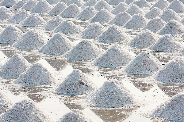 포토 JPG 해외이미지 패턴 농업 태국 자연 건조 풍경 사람없음 물방울 일렬 흙더미 짠맛 해외202004 해외포토 산업 아시아 무늬 흙 맛 생태계 파일형식 더미 이미지허브