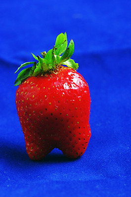 포토 JPG 해외이미지 식물 계절 열매 꽃 음식 백그라운드 다이어트 과일 자연 딸기 디저트 건강 사람없음 빨간색 초록색 우주 식사 벚꽃 흰색 신선 달콤 맛 자르기 먹기 가득함 언덕 오브젝트 유기농 진홍색 내추럴 고립 숙성 채식주의자 해외202004 해외포토 웰빙 컬러 컨셉 모션 생태계 채식 파일형식 이미지허브