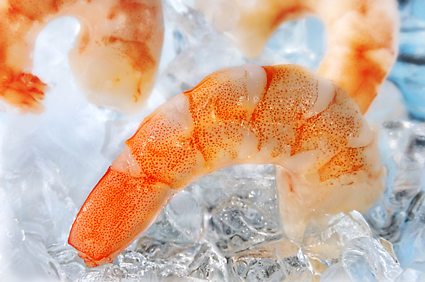 포토 JPG 해외이미지 음식 바다 조개 새우 건강 갑각류 요리 사람없음 빛 고급 맛 먹기 해산물 만족 이국적 스타일 해외202004 해외포토 동물 감정 컨셉 모션 어패류 파일형식 이미지허브