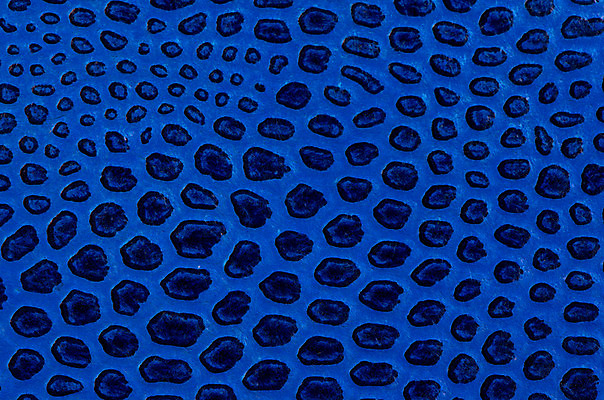 포토 JPG 해외이미지 백그라운드 패턴 추상 사람없음 책 파란색 갈색 성경 수확 덮개 시골 거친 가장자리 떨어짐 낟알 가죽 묘사 고민 질감 문서 캔버스 먼지 페이지 찢어짐 섬유 층 파열 구김 그런지 깨짐 썩음 옛날 울퉁불퉁 원고 접기 중고 찰과상 해외202004 해외포토 감정 컬러 컨셉 무늬 농업 종교용품 모션 뚜껑 직물 둘레 상처 파일형식 이미지허브