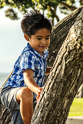 포토 JPG 해외이미지 나무 공원 호수 어린이 놀이 관리 한명 동양인 소년 태평양 풍선 해외202004 해외포토 식물 1 공공시설 남자 바다 사람 인종 파일형식 이미지허브