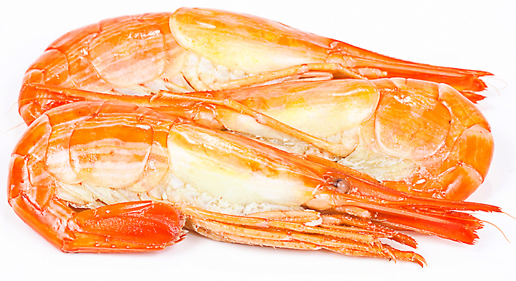 포토 JPG 해외이미지 음식 재료 새우 건강 사람없음 신선 먹기 해산물 오브젝트 준비 고립 해외202004 해외포토 모션 갑각류 파일형식 이미지허브