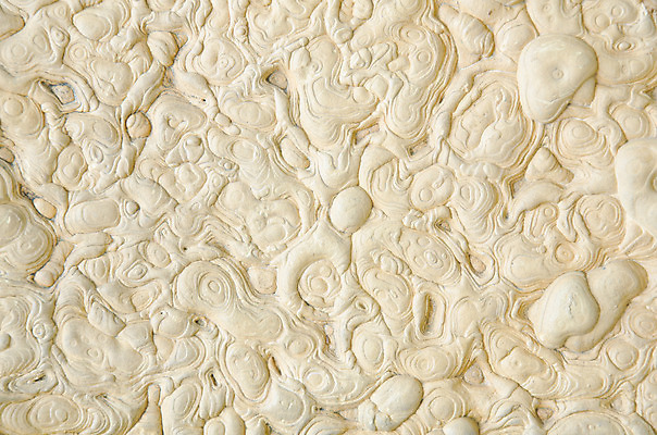 포토 JPG 해외이미지 벽 백그라운드 패턴 포장 자연 표면 추상 벽돌 주택 기술 사람없음 야외 갈색 힘 블록 시골 거친 매끈함 질감 정사각형 대리석 강화 엘리먼트 옛날 울퉁불퉁 화강암 스타일 해외202004 해외포토 도형 컬러 무늬 재료 건물 암석 감각 생태계 파일형식 이미지허브