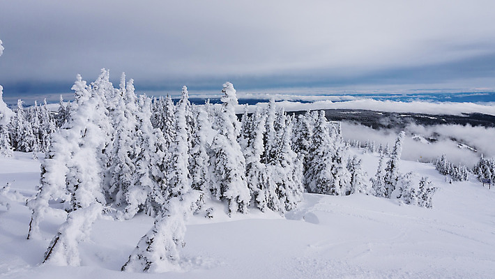 포토 JPG 해외이미지 나무 구름 계절 길 스포츠 백그라운드 겨울 의자 자국 자연 하늘 휴가 스키 산 파노라마 풍경 경사 사람없음 야외 파란색 빛 태양 계곡 맑음 얼음 침묵 추위 흰색 신선 소나무 정상 언덕 휴양지 서리 리프트 전나무 선로 절정 눈내림 해외202004 해외포토 자연요소 식물 컬러 가구 날씨 겨울스포츠 눈_날씨 촬영기법 소리 장소 생태계 파일형식 이미지허브