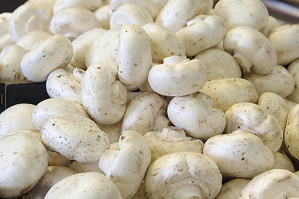 포토 JPG 해외이미지 잡화 음식 재료 탁자 건강 요리 사람없음 쌓기 상점 버섯 흰색 시장 농부 날것 세련 해외202004 해외포토 직업 컬러 가구 모션 파일형식 이미지허브