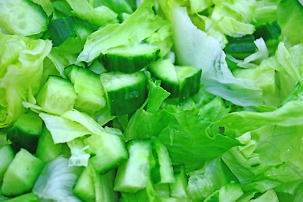 포토 JPG 해외이미지 식물 라이프스타일 음식 백그라운드 잎 농업 다이어트 채소 재료 자연 건강 사람없음 초록색 빛 정원 샐러드 흰색 신선 닫기 상추 먹기 유기농 생물학 날것 고립 채식주의자 해외202004 해외포토 웰빙 교육 산업 컬러 모션 생활 생태계 채식 파일형식 이미지허브