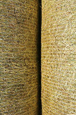 포토 JPG 해외이미지 산업 백그라운드 농업 자연 추상 건조 사람없음 가로 컬러풀 수확 가을 농촌 황금 건초더미 볏짚 밀 질감 뭉치 밀짚 흙더미 해외202004 해외포토 계절 컬러 무늬 곡류 흙 시골 건초 짚 생태계 파일형식 더미 이미지허브