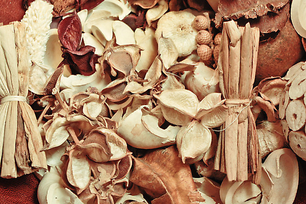 포토 JPG 해외이미지 백그라운드 겨울 추상 귤 건조 씨앗 사람없음 내부 장식 갈색 가을 신선 수집 배열 향기 냄새 아로마 아로마테라피 시나몬 해외202004 해외포토 식물 계절 컬러 무늬 과일 테라피 파일형식 이미지허브