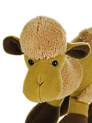 포토 JPG 해외이미지 동물 야생동물 장난 곰 포유류 포옹 놀이 휴식 털 사람없음 장난감 우정 곰인형 기쁨 낙타 솜털 단봉낙타 해외202004 해외포토 감정 인형 컨셉 안기 친구 파일형식 이미지허브