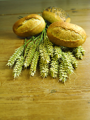 포토 JPG 해외이미지 식물 음식 빵 다이어트 건강 씨앗 사람없음 목재 갈색 바구니 주방 저녁식사 빵집 껍질 신선 황금 맛 아침식사 상품 낟알 시리얼 밀 굽기 반죽 귀 롤 밀가루 베이글 추수감사절 덩어리 내추럴 단백질 이스트 제빵사 탄수화물 페스츄리 호밀 통밀 해외202004 해외포토 나무 직업 기독교 컬러 컨셉 재료 곡류 신체부위 상점 식사 가루 구이 영양소 파일형식 이미지허브