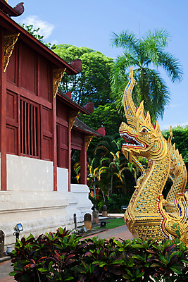 포토 JPG 해외이미지 나무 전통 공원 행복 아시아 문화 선 조각 불교 태국 자연 휴식 주택 미술 동양인 사람없음 야외 장식 조각상 탑 정원 일본 중국 침묵 방 수확 복고 동쪽 내추럴 옛날 스타일 해외202004 해외포토 식물 건축물 공공시설 감정 나라 종교 컨셉 농업 문화예술 인종 건물 조형물 소리 방향 생태계 파일형식 이미지허브