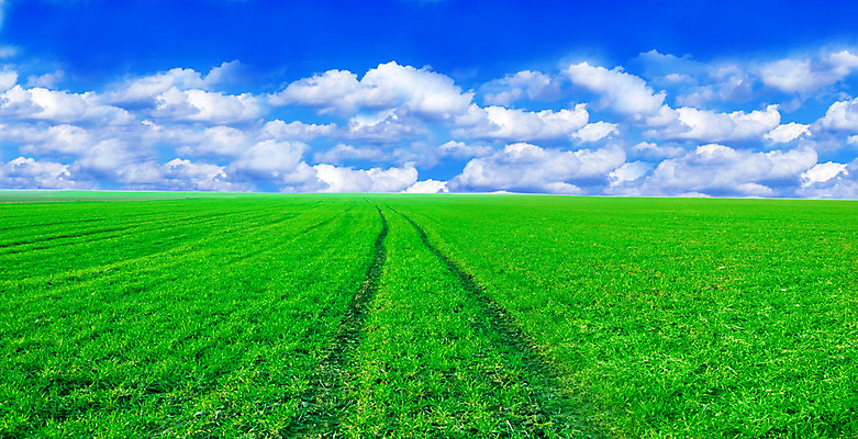 포토 JPG 해외이미지 식물 구름 계절 백그라운드 밭 자연 하늘 날씨 풍경 잔디 사람없음 야외 초록색 여름 파란색 빛 컬러풀 태양 농장 평화 일출 환경 정원 맑음 봄 흰색 시골 신선 장면 내추럴 해외202004 해외포토 자연요소 컬러 컨셉 농업 노을 생태계 파일형식 이미지허브