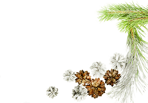 포토 JPG 해외이미지 식물 전통 계절 백그라운드 크리스마스 유리 휴가 불꽃 새해 기념 사람없음 장식 초록색 빛 흰색 나뭇가지 축하 소나무 화려 닫기 은색 연도 배열 심볼 광택 상록수 침엽수 전나무 고립 구성 가문비나무 해외202004 해외포토 나무 기념일 컬러 컨셉 모션 재질 불 파일형식 이미지허브