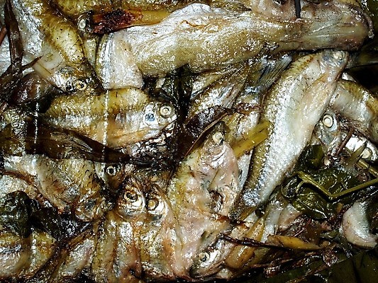 포토 JPG 해외이미지 전통 접시 아시아 음식 다이어트 채소 오렌지 태국 탁자 밥 새우 건강 육류 돼지고기 어류 요리 동양인 사람없음 빨간색 초록색 세트 주방 식당 계란 식사 저녁식사 중국 흰색 신선 면 뜨거움 원형 고급 맛 수프 먹기 가득함 매움 점심식사 뷔페 해외202004 해외포토 도형 식기 나라 컬러 가구 컨셉 과일 식재료 모션 갑각류 인종 상점 알 수중동물 파일형식 이미지허브