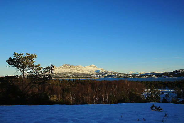 포토 JPG 해외이미지 나무 유럽 별 길 여행 겨울 자연 하늘 전등 노르웨이 사람 풍경 사람없음 야외 가로 초록색 냉동 얼음 황혼 놀람 새벽 추위 숲 오솔길 북극 천문학 북쪽 오로라 내추럴 스칸디나비아 현상 해외202004 해외포토 자연요소 식물 계절 교육 감정 나라 컬러 자연현상 조명 표정 일몰 극지방 방향 생태계 파일형식 이미지허브