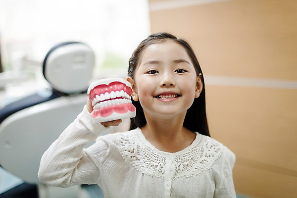 포토 JPG 여자 어린이 의학 실내 치과 한명 서기 들기 상반신 앞모습 한국인 치과용품 치아모형 치과진료 진료실 소녀한명만 국내포토 1 뷰포인트 모션 병원 사람 동양인 내부 진료 의료용품 치아 여자한명만 소녀만 파일형식