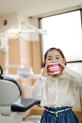 포토 JPG 여자 어린이 의학 실내 치과 한명 서기 들기 상반신 앞모습 한국인 치과용품 치아모형 치과진료 진료실 소녀한명만 국내포토 1 뷰포인트 모션 병원 사람 동양인 내부 진료 의료용품 치아 여자한명만 소녀만 파일형식