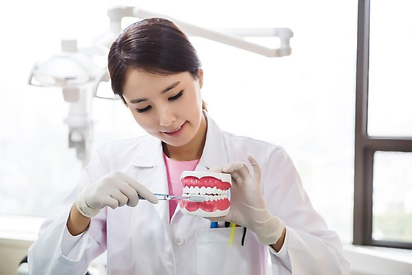 포토 JPG 여자 의학 실내 치과 한명 서기 미소 들기 상반신 성인 앞모습 30대 한국인 양치 칫솔 치과의사 치아모형 성인여자한명만 국내포토 1 뷰포인트 모션 표정 병원 사람 동양인 내부 장년 위생용품 청결 의사 치아 여자한명만 성인여자만 파일형식