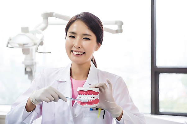 포토 JPG 여자 의학 실내 치과 한명 서기 미소 들기 상반신 성인 앞모습 30대 한국인 양치 칫솔 치과의사 치아모형 성인여자한명만 국내포토 1 뷰포인트 모션 표정 병원 사람 동양인 내부 장년 위생용품 청결 의사 치아 여자한명만 성인여자만 파일형식