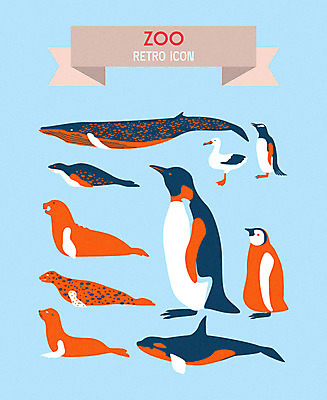 아이콘 갈매기 오리 사람없음 바다표범 물개 남극 고래 펭귄 복고 범고래 2D아이콘 AI파일 포유류 조류 바다동물 수중동물 극지방 파일형식 벡터